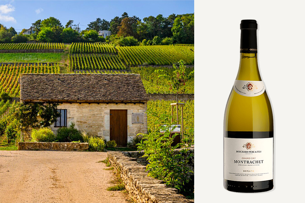 Domaine Bouchard Père & Fils