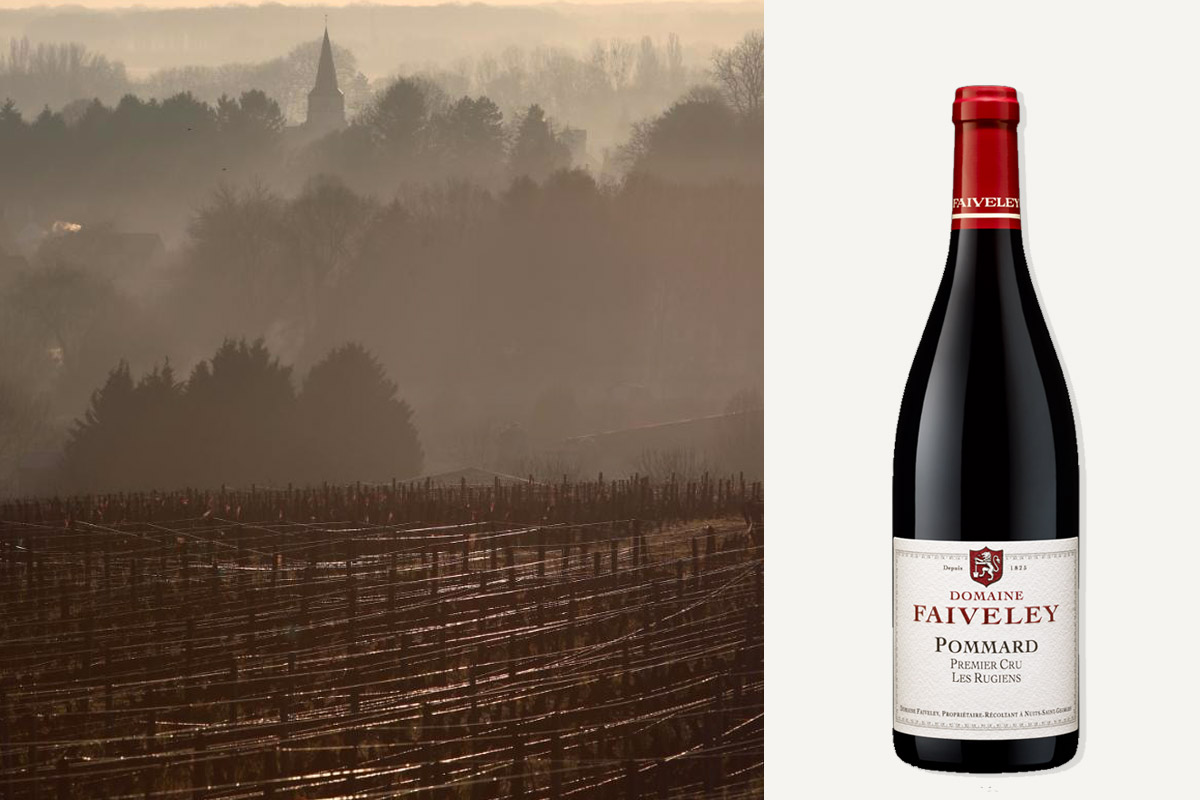 Domaine Faiveley