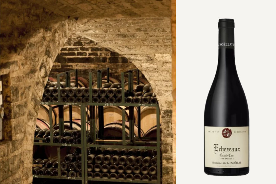 Domaine Michel Noëllat