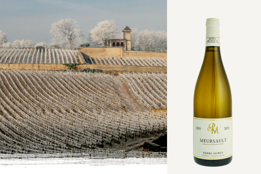 Domaine Pierre Morey