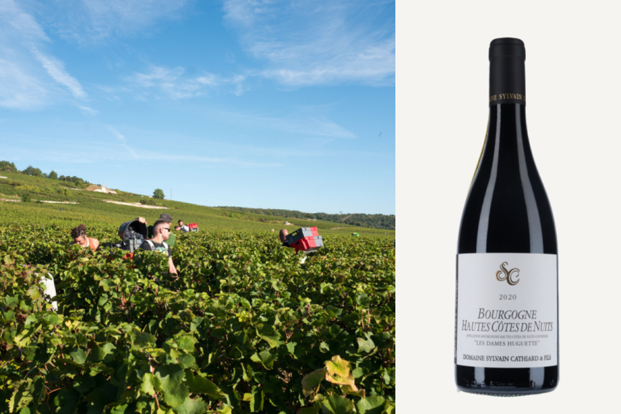 Domaine Sylvain Cathiard & Fils