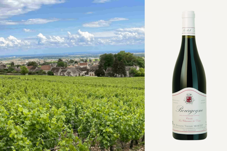 Domaine Thierry Mortet