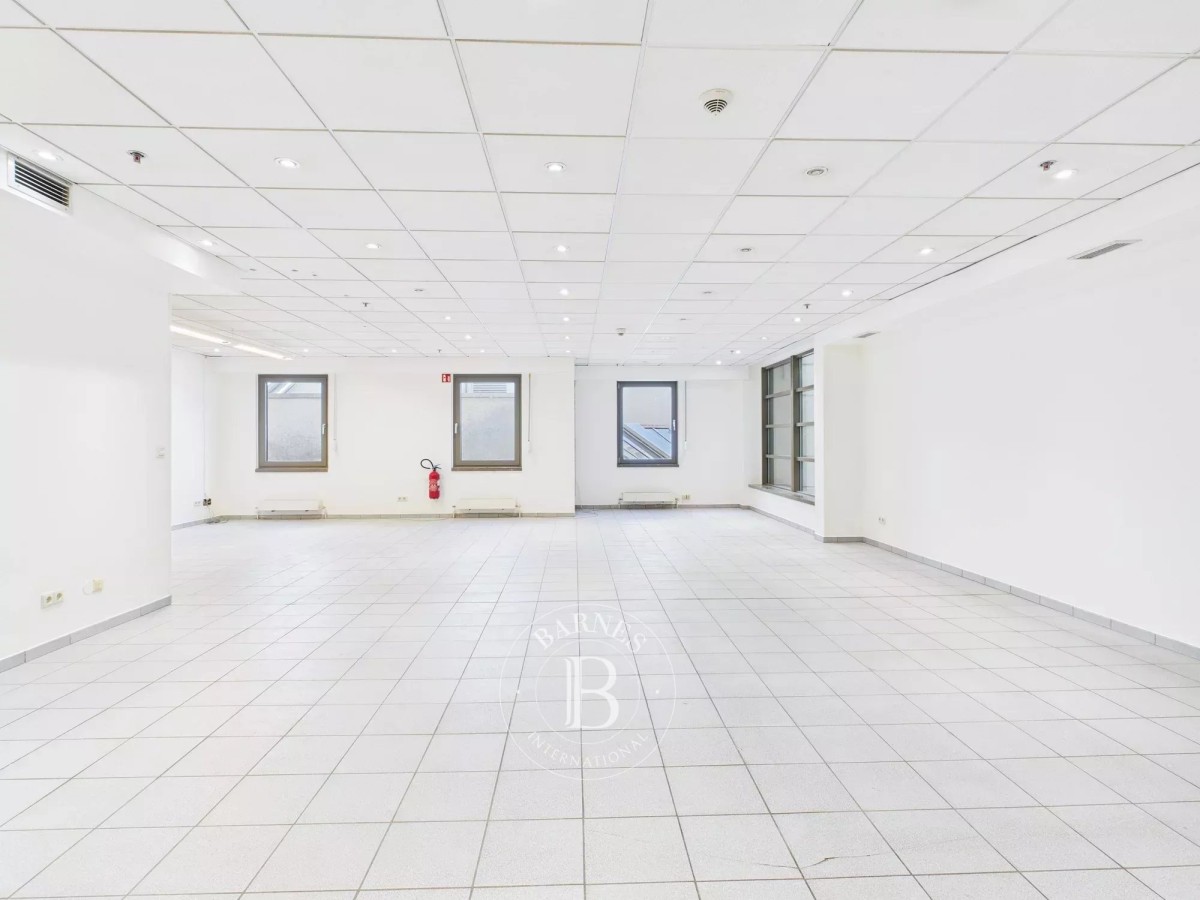 For Rent - Commercial Space - Luxembourg-Centre - picture 5