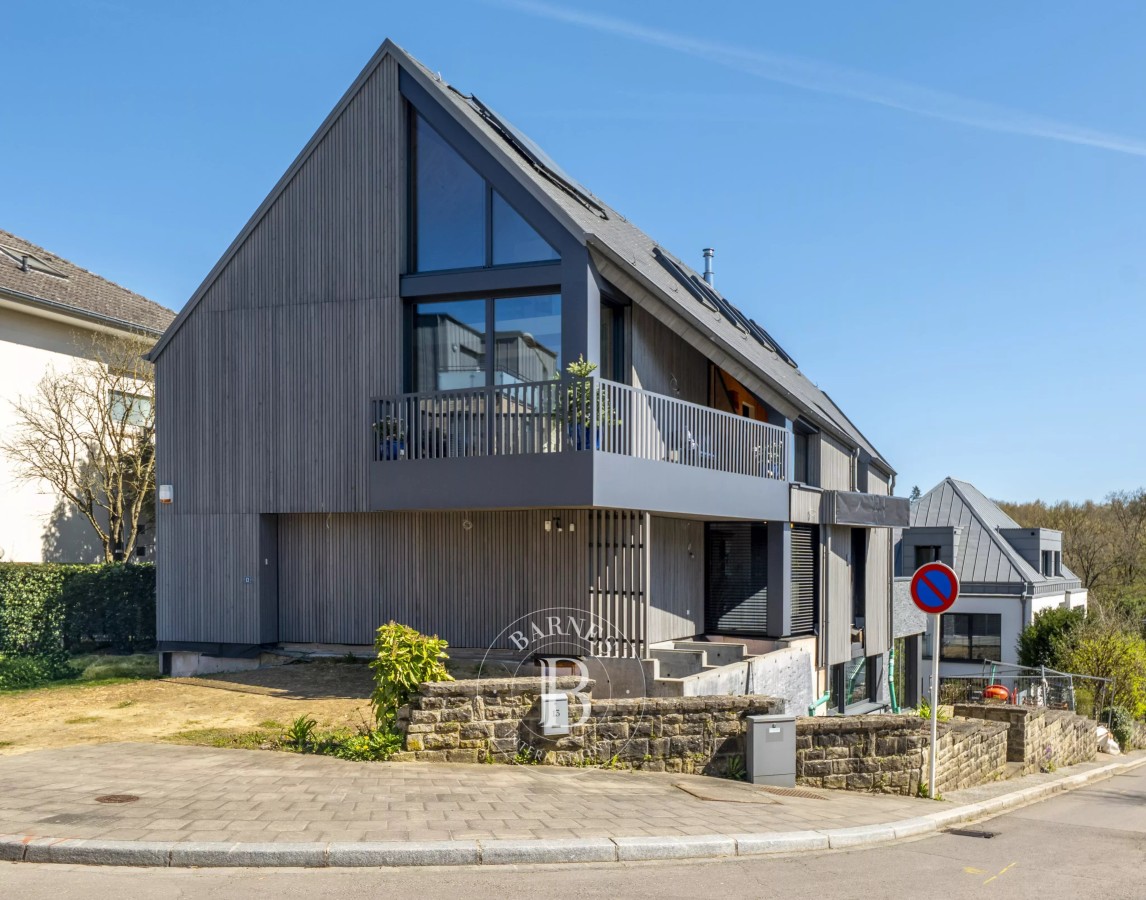 House Luxembourg - picture 1