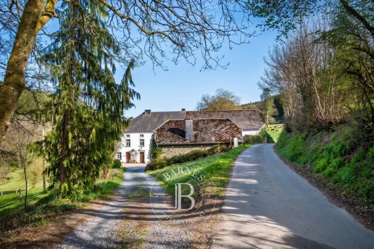 Vente Moulin - Sonlez -... - picture 1