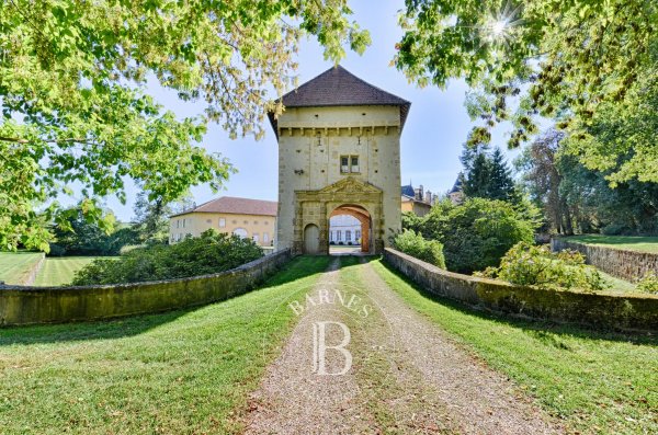 Vente Domaine - Lorry-Mardigny - picture 4