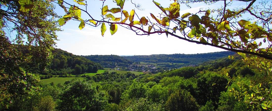 Show - BARNES Luxembourg - Immobilier de luxe, appartements et maisons de prestige au Luxembourg